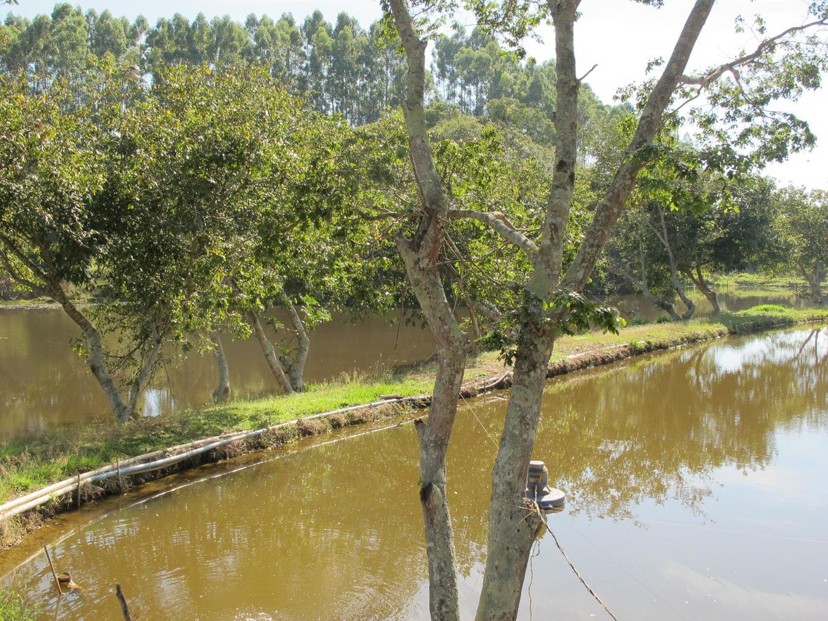 Arte De Minas Hotel Sao Goncalo do Sapucai ภายนอก รูปภาพ